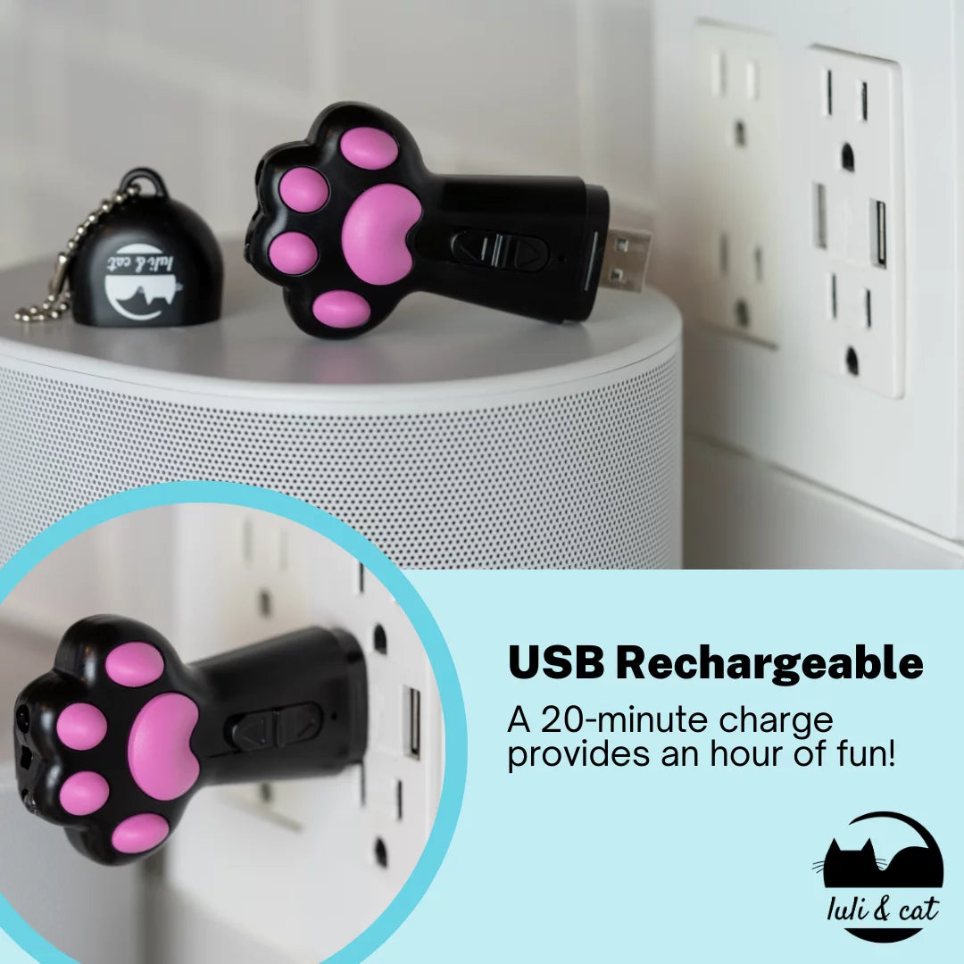 Cat Laser Toy | USB Rechargeable Laser Light Toy for Indoor Cats | Gift Set for Cat Lovers with Laser Cat Toy and Interactive Cat Toys