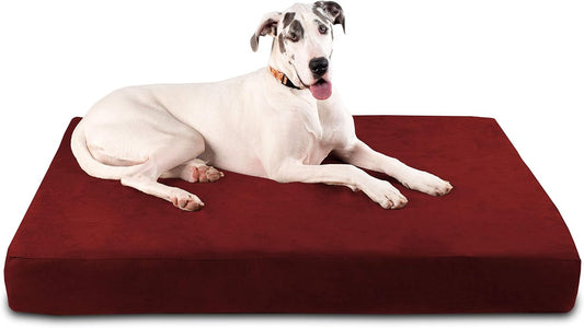 7" Pillow Top Orthopedic Dog Bed for Large and Extra Large Breed Dogs (Sleek Edition) (Giant (60 X 48 X 7), Burgundy)